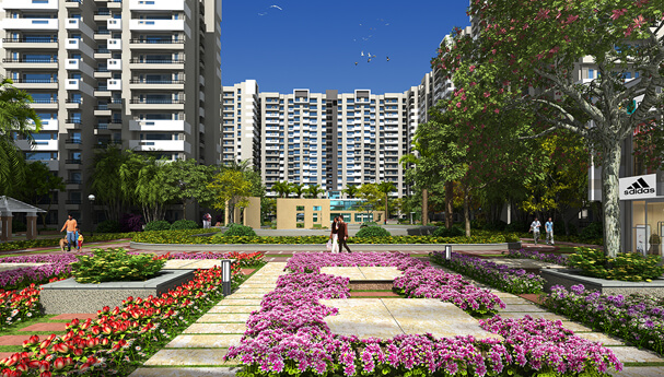 Best Developer in Noida